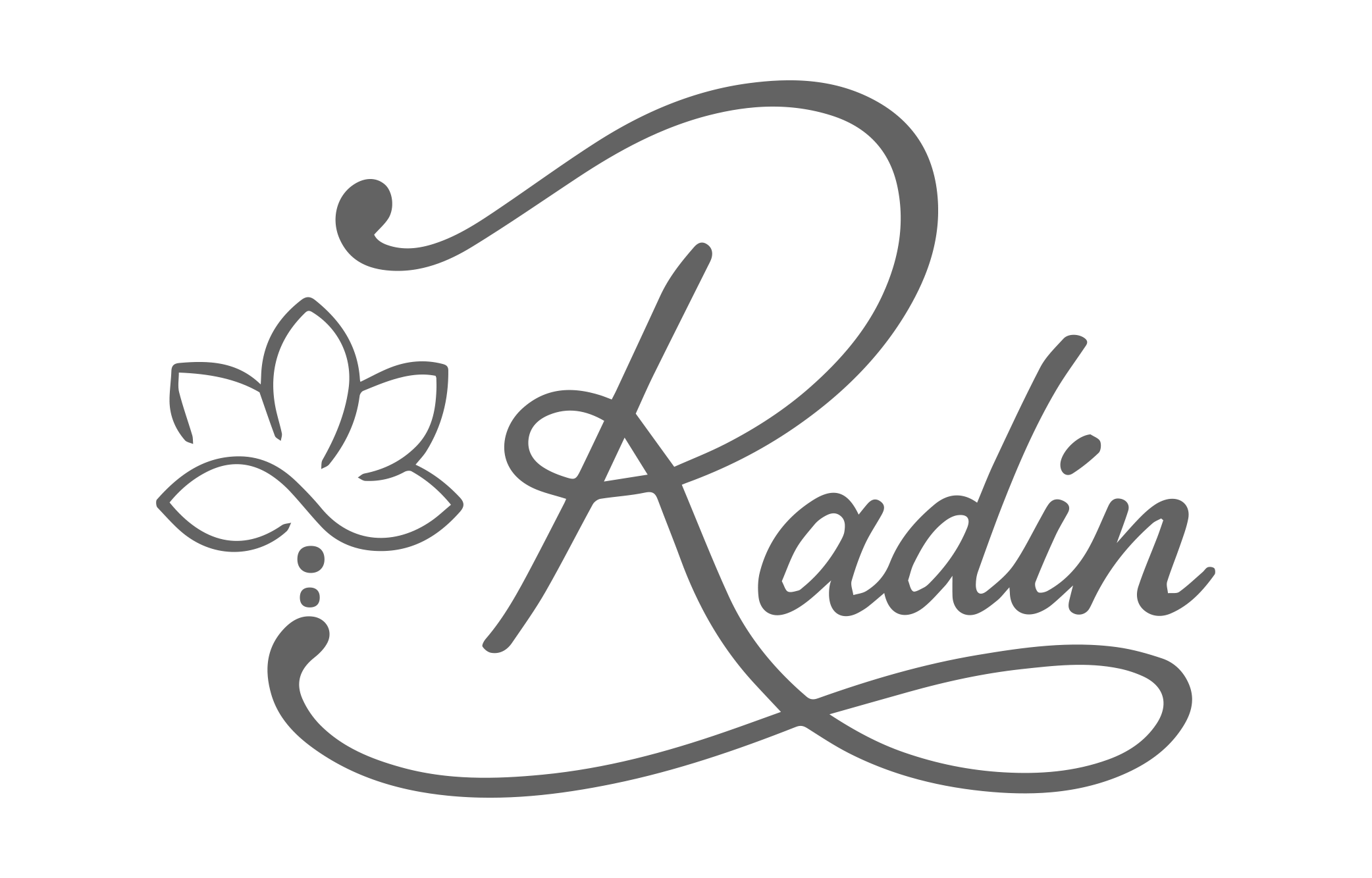Radin